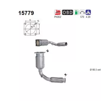 Catalyseur AS 15779