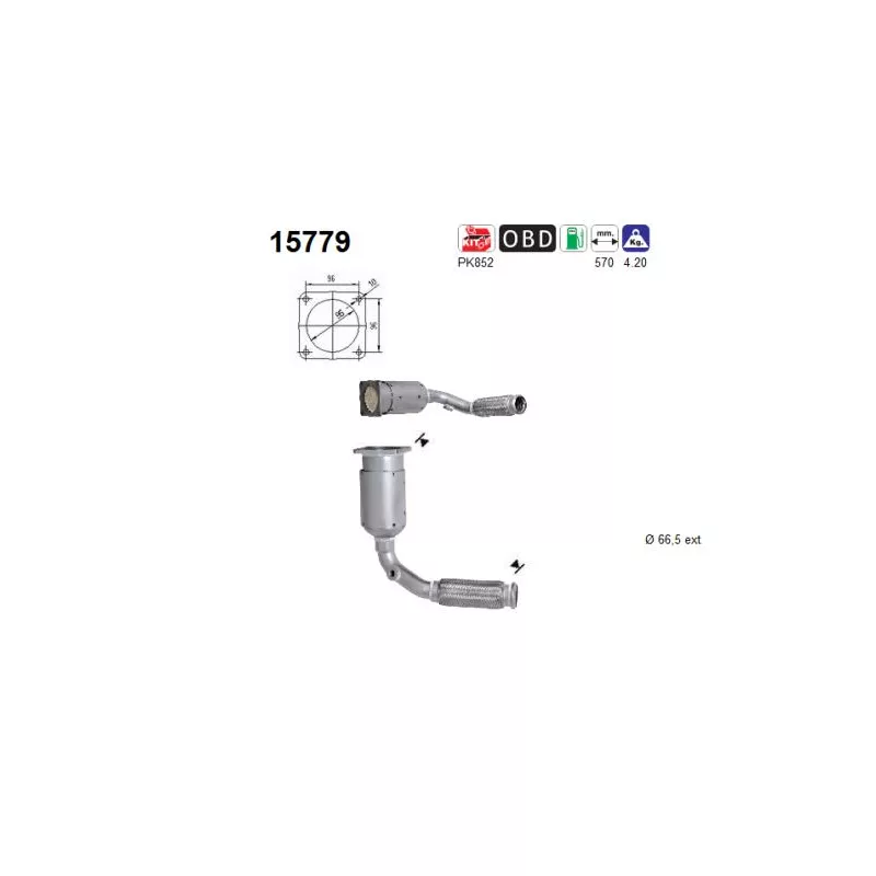 Catalyseur AS 15779
