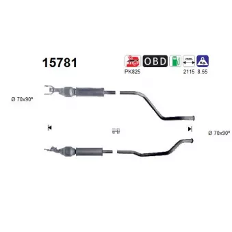Catalyseur AS 15781
