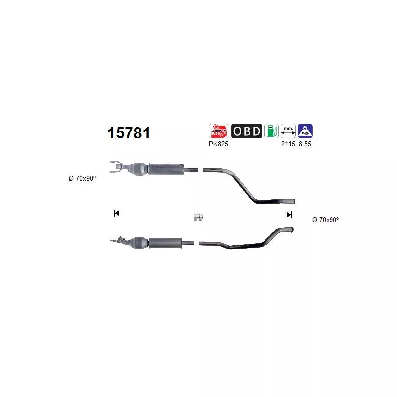 Catalyseur AS 15781