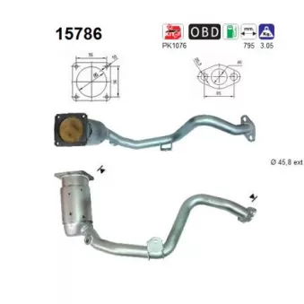 Catalyseur AS 15786