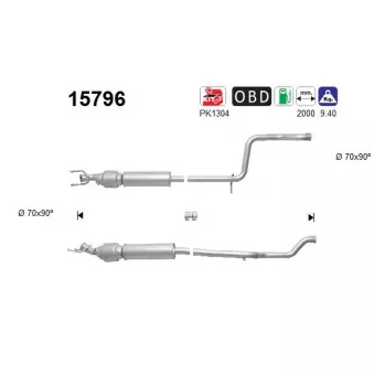 Catalyseur AS 15796
