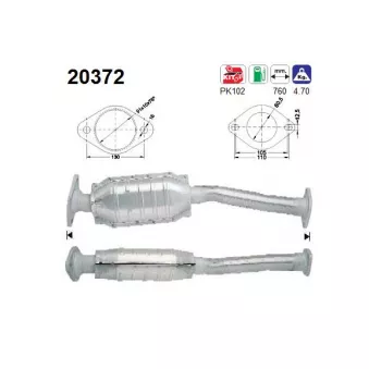 Catalyseur AS 20372