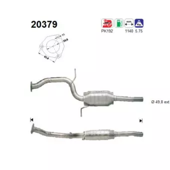 Catalyseur AS 20379