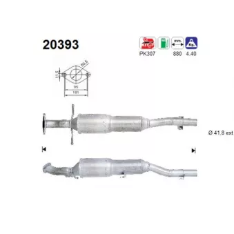 Catalyseur AS 20393