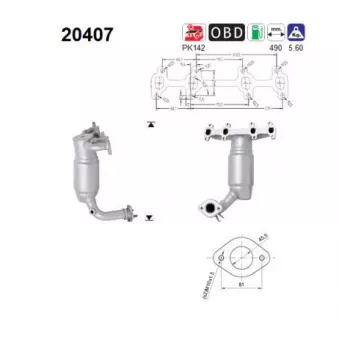Catalyseur AS 20407