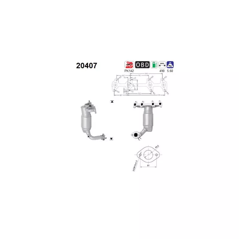 Catalyseur AS 20407