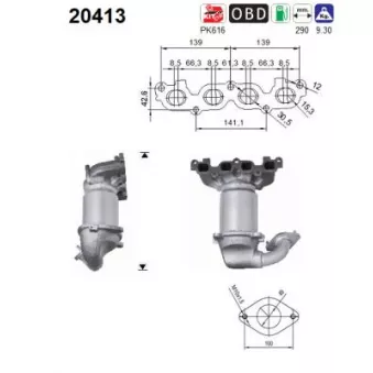 Catalyseur AS 20413