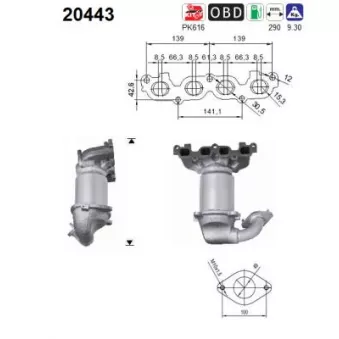 Catalyseur AS 20443
