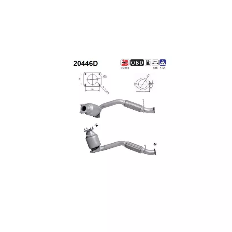 Catalyseur AS 20446D