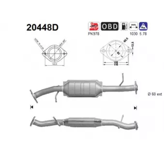 Catalyseur AS 20448D