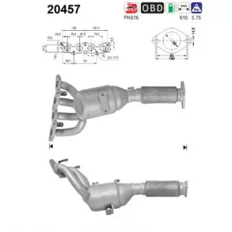 Catalyseur AS 20457