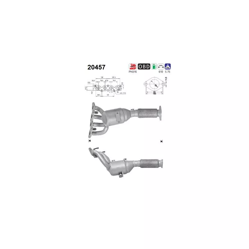 Catalyseur AS 20457