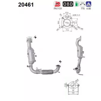 Catalyseur AS 20461