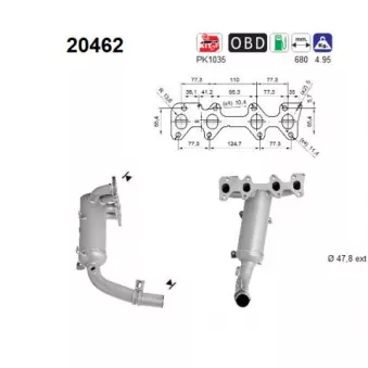 Catalyseur AS 20462