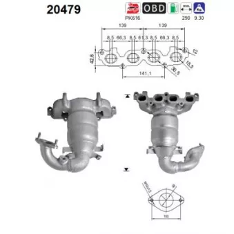Catalyseur AS 20479