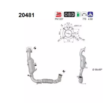 Catalyseur AS 20481