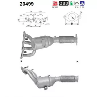 Catalyseur AS 20499