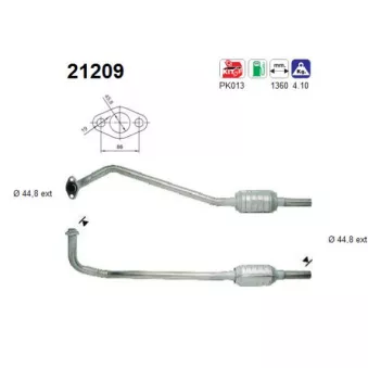 Catalyseur AS 21209