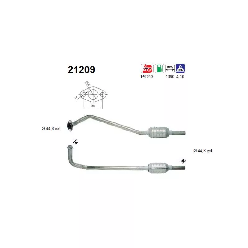Catalyseur AS 21209