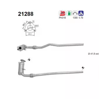 Catalyseur AS 21288