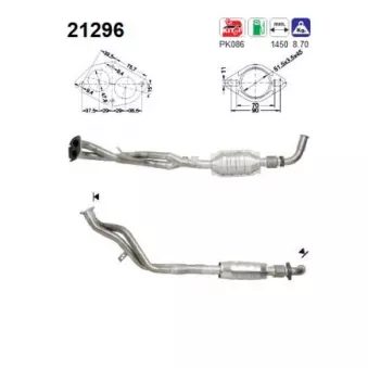 Catalyseur AS 21296