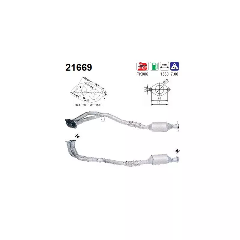 Catalyseur AS 21669