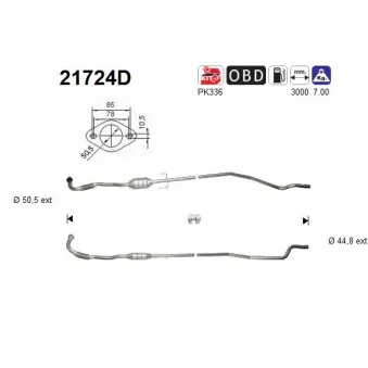 Catalyseur AS 21724D
