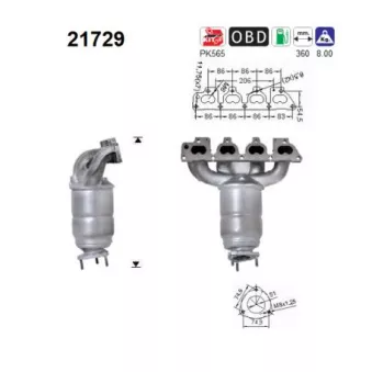 Catalyseur AS 21729