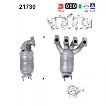 Catalyseur AS 21730