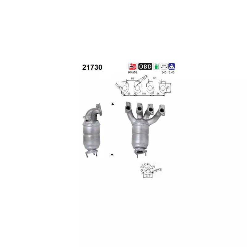 Catalyseur AS 21730