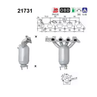 Catalyseur AS 21731