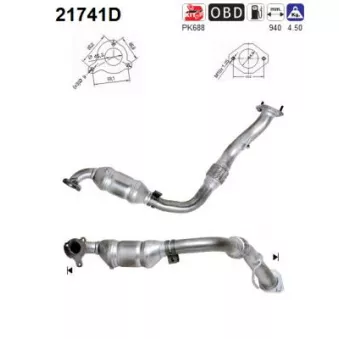 Catalyseur AS 21741D