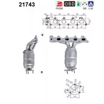 Catalyseur AS 21743