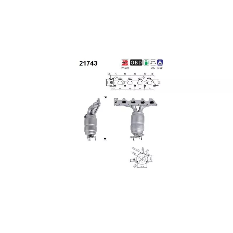 Catalyseur AS 21743