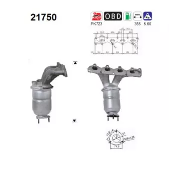 Catalyseur AS 21750