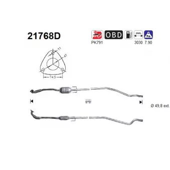 Catalyseur AS 21768D