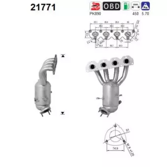 Catalyseur AS 21771