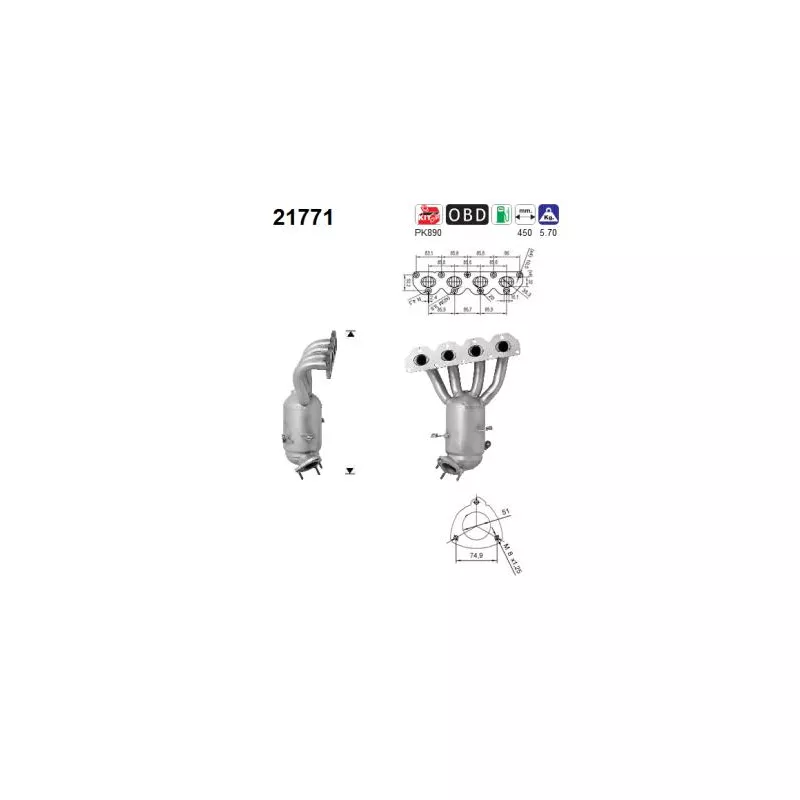 Catalyseur AS 21771