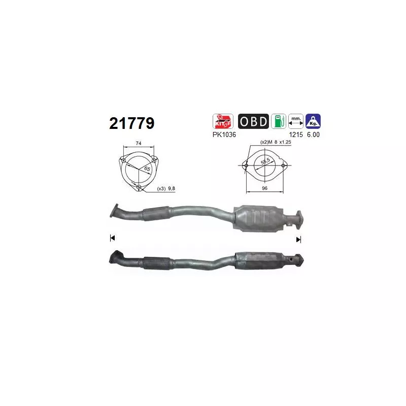 Catalyseur AS 21779