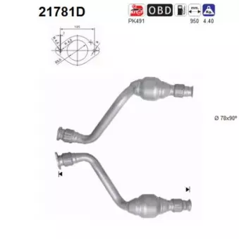 Catalyseur AS 21781D