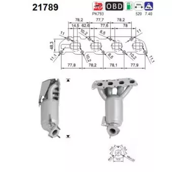 Catalyseur AS 21789