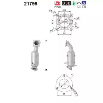 Catalyseur AS 21799