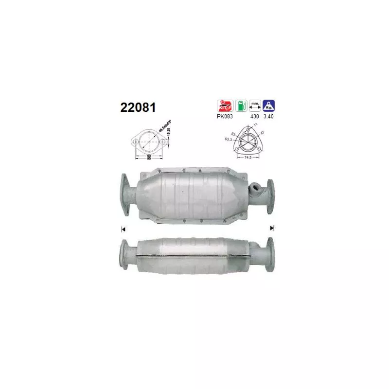 Catalyseur AS 22081