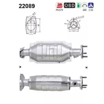 Catalyseur AS 22089
