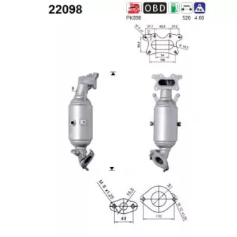 Catalyseur AS 22098