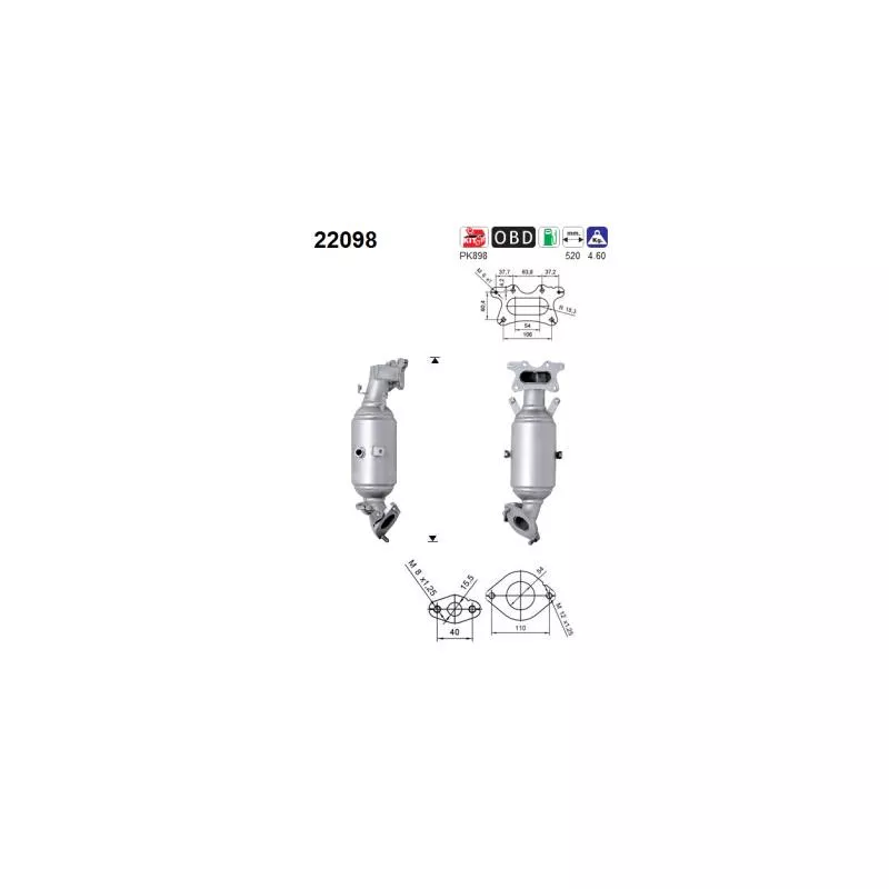 Catalyseur AS 22098