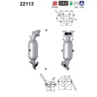 Catalyseur AS 22113