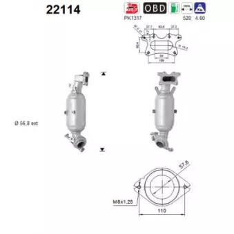 Catalyseur AS 22114