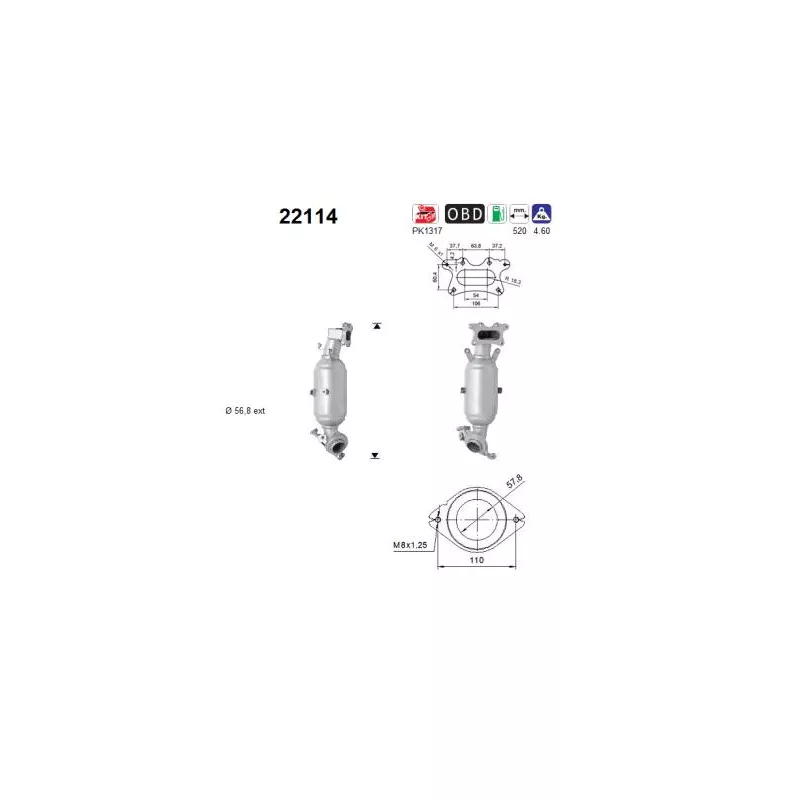 Catalyseur AS 22114